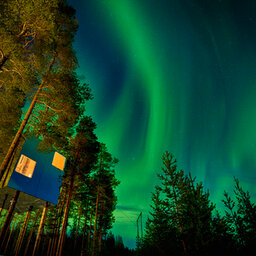 Zweden-Lapland-Harads-treehotel-johan-jansson-mirror-cube-noorderlicht