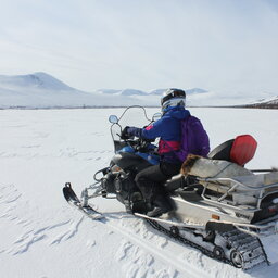 Zweden-Lapland-Harads-treehotel-johan-jansson-sneeuwscooter 2JPG