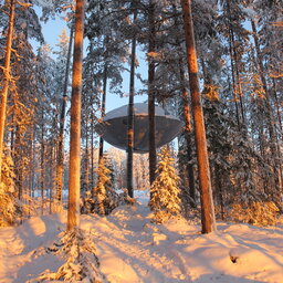 Zweden-Lapland-Harads-treehotel-johan-jansson-ufoJPG