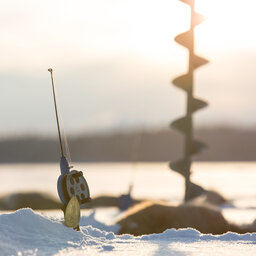 Zweden-Lapland-kiruna-fjellborg-arctic-lodge-ijsvissen